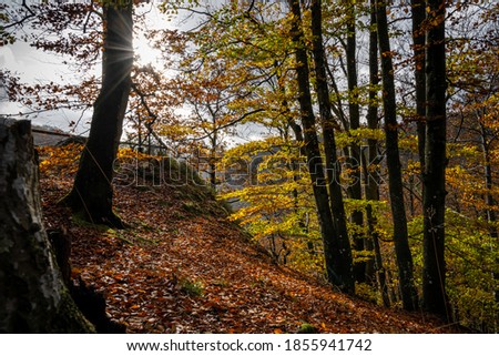 A beautiful view of colourful autumn forest. Picture from Soderasen national park in Scania county, southern Sweden