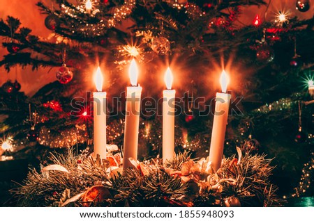four candles burning with christmas tree in the background