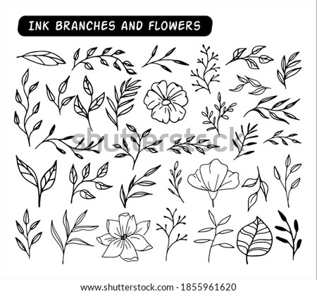 Collection of various twigs, leaves, and flowers. Ink hand drawn doodle illustration.