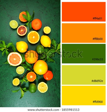 Healthy Lifestyle Designer Color Palette inspired by citrus fruit on a dark green textured background. Designer pack with photograph and swatches with hex codes references.