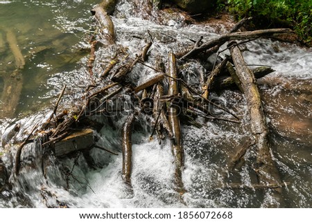 Close up of river drift wood forming a natural water dam  