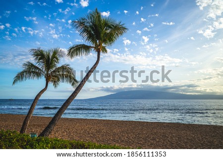 scenery at kaanapali beach in maui island, hawaii Royalty-Free Stock Photo #1856111353