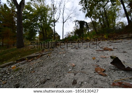 A path into the woods. A closeup of the ground. Picture taken in Eureka Springs, Arkansas.