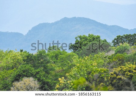 a scenic view in hill station of sri lanka
