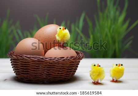 Easter still life with grass, chickens and eggs in a bascet.Colored background. Chicken eggs.