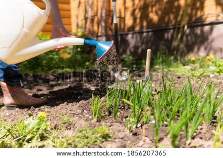 A woman plants plants and flowers in the garden. She waters the seedlings.