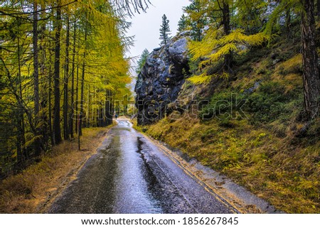 Majestic autumn alpine scenery with colorful larch forest, Switzerland