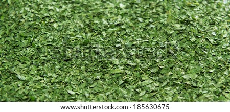 Dried Parsley as high resolution detailed food background image