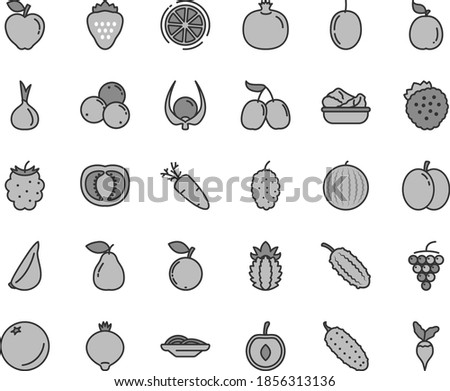 Thin line gray tint vector icon set - slices of onion vector, lettuce in a plate, cucumber, garlic, carrot, strawberry, strawberries, orange, apple, pomegranate, large grape, pear, red, medlar