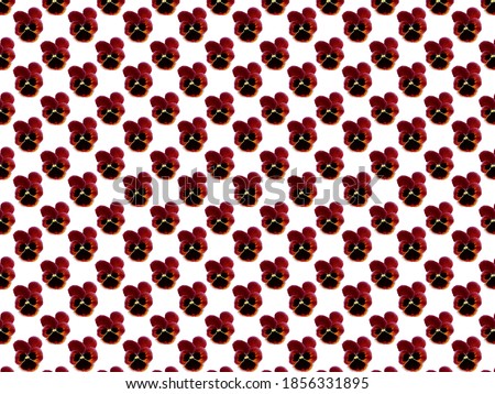 Seamless pattern with a pattern of pansies. Repeating pattern for decorative Wallpaper. Floral pattern on a white background when viewed from above. Wild pansies.