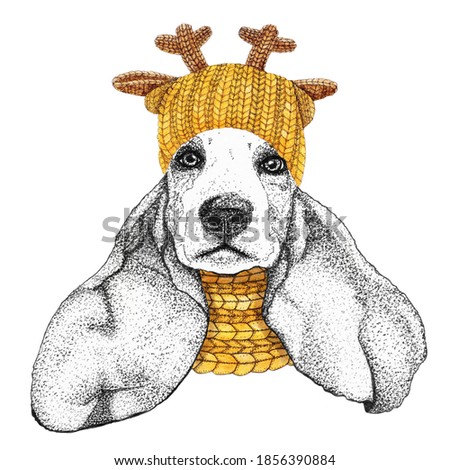 spaniel with yellow knitted hat and scarf. Hand drawn illustration of dressed dog