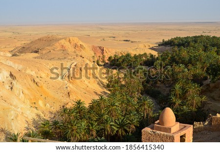 the landscape around Chebika  mountain oasis in western Tunisia, in Tozeur Governorate. Royalty-Free Stock Photo #1856415340