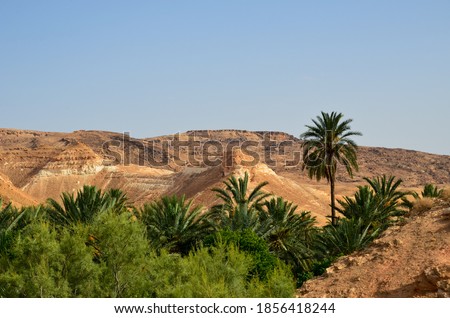 View to the landscape around Tamerza, the largest mountain oasis in Tunisia Royalty-Free Stock Photo #1856418244