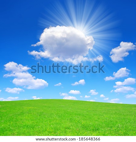 Spring meadow with blue sky