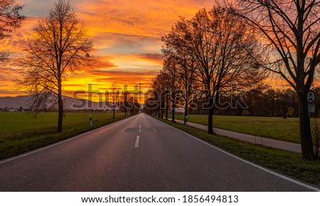Image of a colorful and high-contrast sunrise with bright cloud formations along an avenue in the foreground