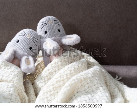 Woman legs in cute rabbit slippers under the knitted blanket on a sofa.  Royalty-Free Stock Photo #1856500597