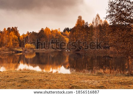 Autumn forest. Nature. Fairy trees. Background.