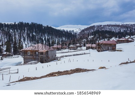 Bakhmaro in winter, Guria, Georgia. White nature of resort Bakhmaro in country Georgia. Snowy colorful wood houses