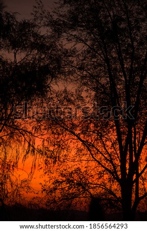 sunset sky of orange and red with trees in foreground beautiful captivating scenic of evening sky