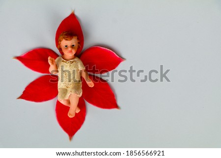 Small statue of Infant Jesus on red leaves of poinsettia plant, Christmas concept, space for text