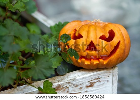 Halloween. orange pumpkin lantern on the street, on a wooden stand near green plants, jack head