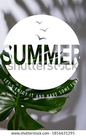 fresh tropical green leaf on white background  with summer illustration