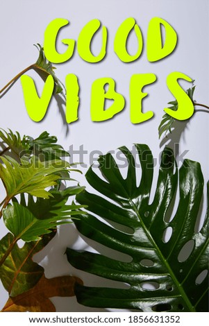 fresh tropical green leaves on white background with good vibes illustration