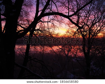 Winter dawn on the river Bank. The forest on the background of the dawn