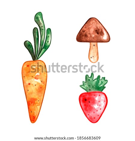 Watercolor set of carrot, mushrooma nd strawberry. Simple clipart for children book, toys packaging, stickers, posters or print. Hand drawn colorful vitamins for farmers market, organic food, eco blog