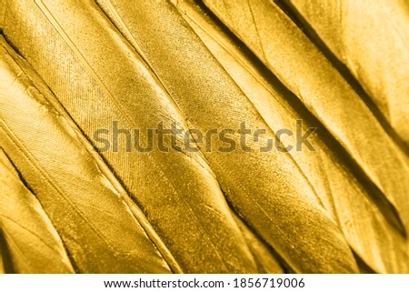 Golden painted feathers background, color 2021. Top view, creative background.