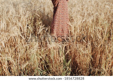 Girl standing in a wheat field, golden field
