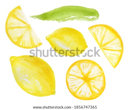 Hand painted lemon set.  Watercolor whole lemons, halfs lemon, lemon wedges