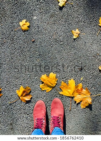 wallpaper feet in fallen leaves on the asphalt in autumn