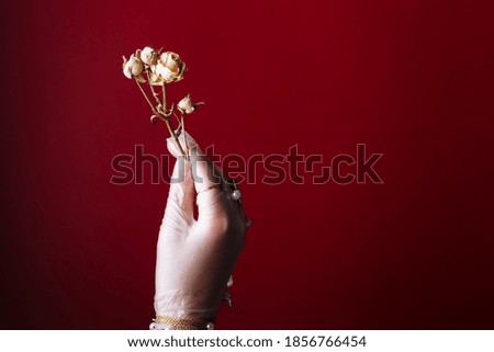 Fashion art hand woman in the glove with Jewelry in summer time and flowers behind her hand with bright contrasting makeup. Creative beauty photo hand skincare.
