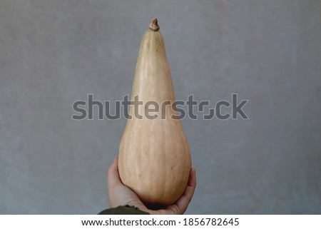 Hand holding a gourd. Selective focus, simple background.
