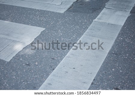 The photo of the crosswalk I took to see the lines of the crosswalk.