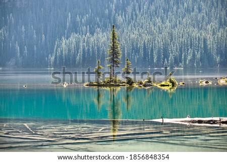 Little island with trees reflections in water. Lake O'Hara in Yoho National Park. British Columbia. Canada 