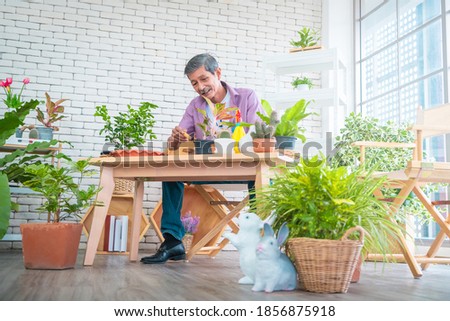Happy retired Asian man is planting houseplant at home as his hobby for mature leisure activity concept.