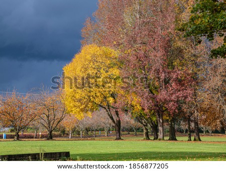 Stormy weather in a public park a colorful landscape Oregon.