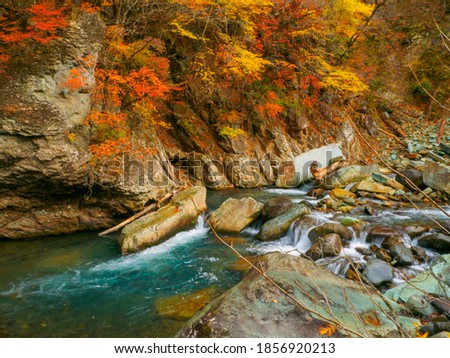 River flowing through a valley with autumn leaves (Tochigi, Japan)