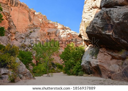 hiking  in autumn along cottonwood wash in the picturesque hackberry canyon off the cottonwood canyon road  in grand staircase escalante near kanab, in southwestern utah Royalty-Free Stock Photo #1856937889