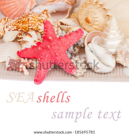 starfish and seashells on towel border  with copy space