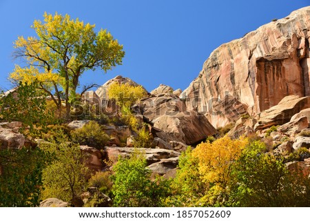 beautiful fall colors and eroded  rock formations on the hackberry canyon trail along the cottonwood canyon road in grand staircase escalante in southwestren utah, near kanab Royalty-Free Stock Photo #1857052609