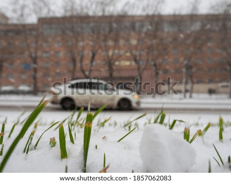 Green grass covered with the first snow with a car and building in the city. Selective focus