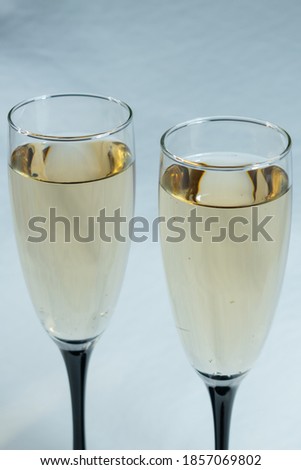 Close-up. Two glasses of champagne. Veterinary background with d