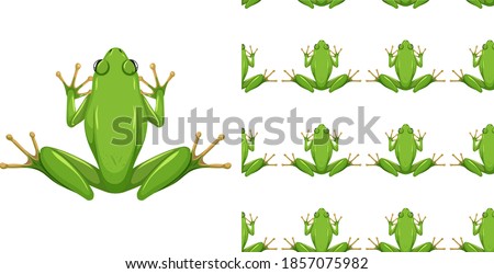 American green tree frog isolated on white background and seamless illustration