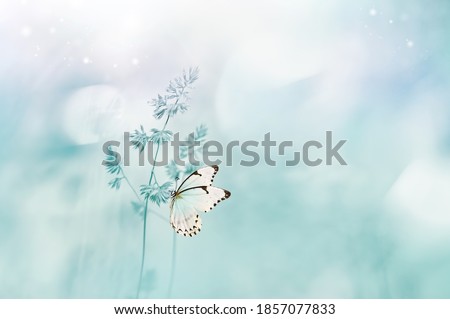 Gentle natural spring background in pastel blue colors. Wild meadow grass and light white butterfly on nature macro. Beautiful summer inspiring image nature.