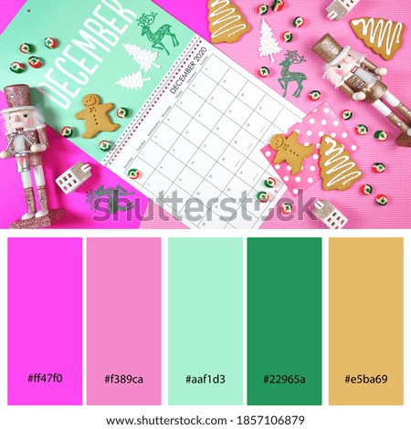 Christmas Pastel Pop pinks and Greens Decor Trend Designer Pack Color Palette. Designer pack with photograph and swatches with hex codes references.