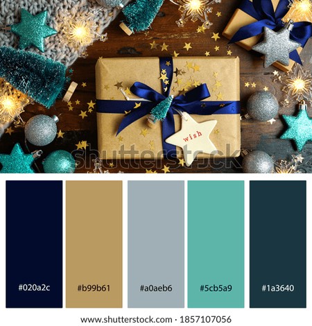 Christmas Farmhouse Blue Decor Trend Designer Pack Color Palette. Designer pack with photograph and swatches with hex codes references.