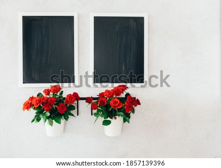 Two chalkboards and two mini roses pots on the concrete grunge wall.	
